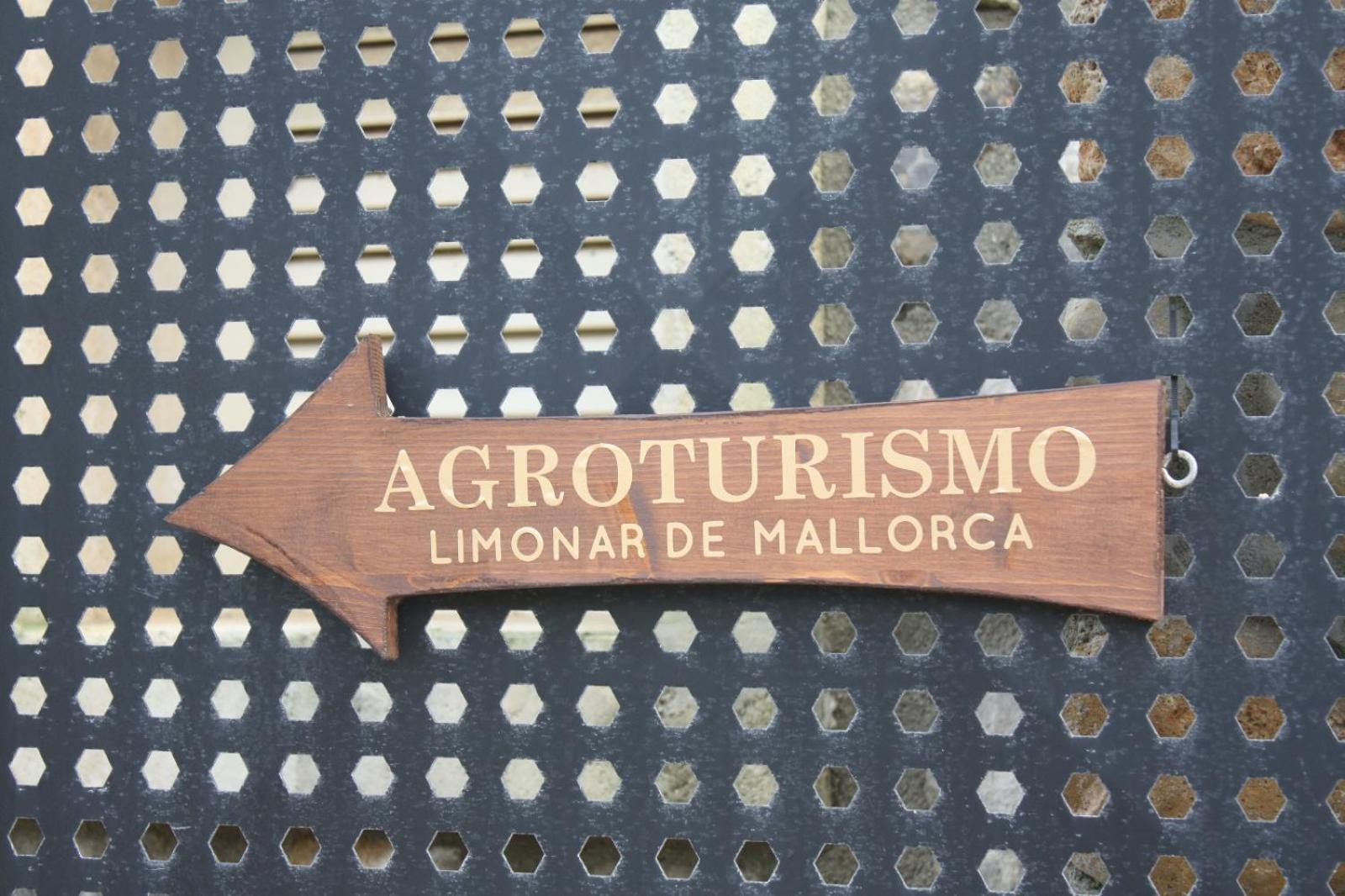 Appartement El Limonar De Mallorca - Ballerics